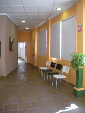 contacte